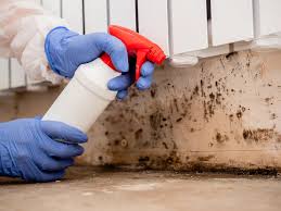 Why You Should Choose Our Mold Remediation Services in Helena Valley West Central, MT